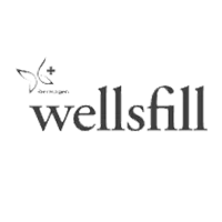 برند Wellsfill